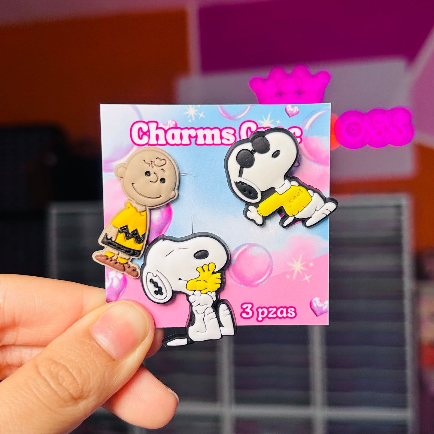 Set Charm Croc 29