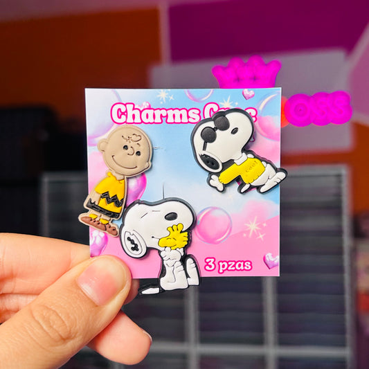 Set Charm Croc 29